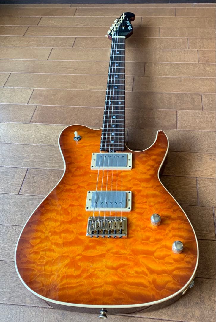 DON GROSH GUITAR ＃２１８