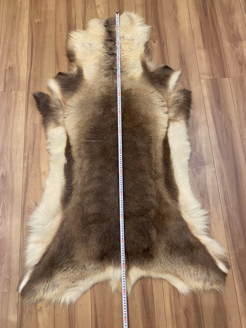 トナカイ　ファー　毛皮　ビッグサイズ　希少