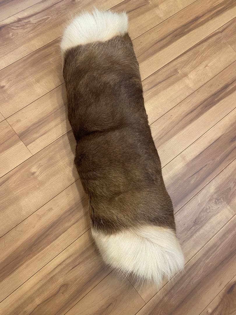 トナカイ　ファー　毛皮　ビッグサイズ　希少