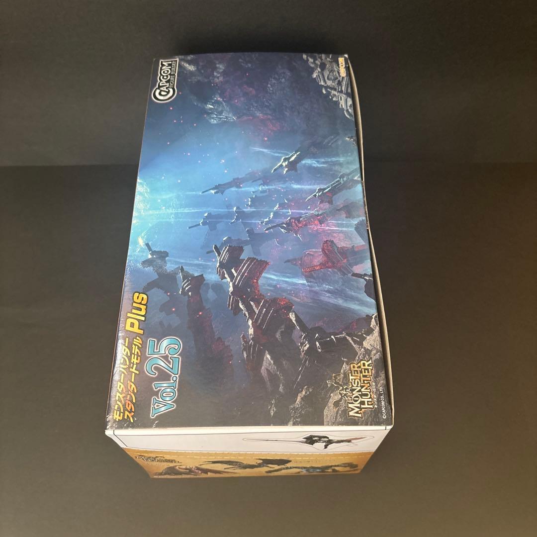 スタンダードモデル　plus vol.25