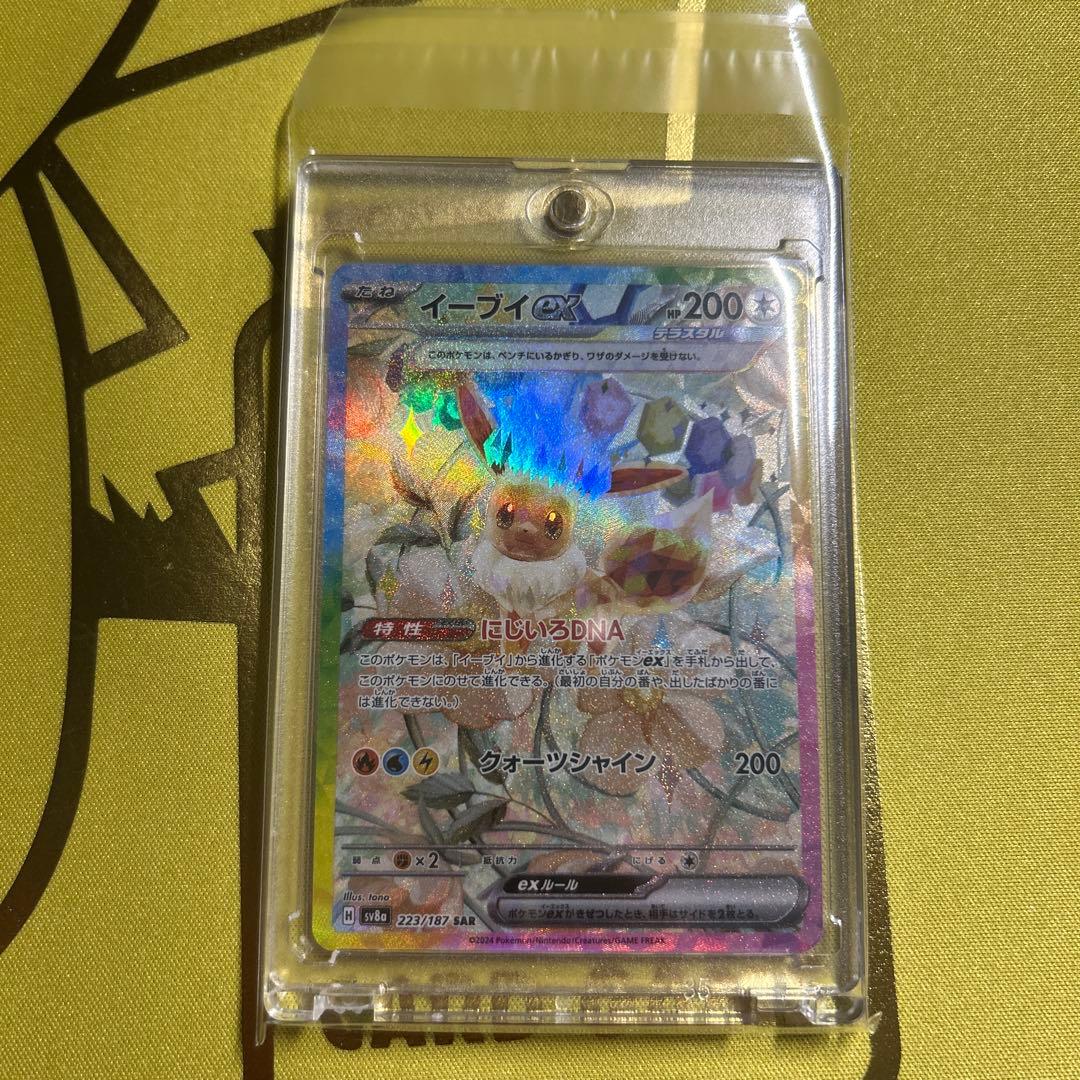【引退品】 美品 ポケモンカード　テラスタルフェスex ブイズ9種まとめ売り