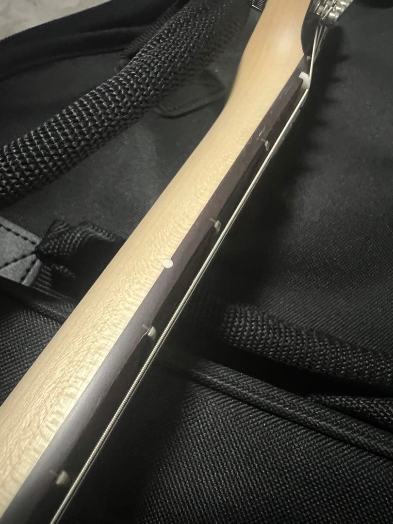 ギター Psychederhythm Psychomaster