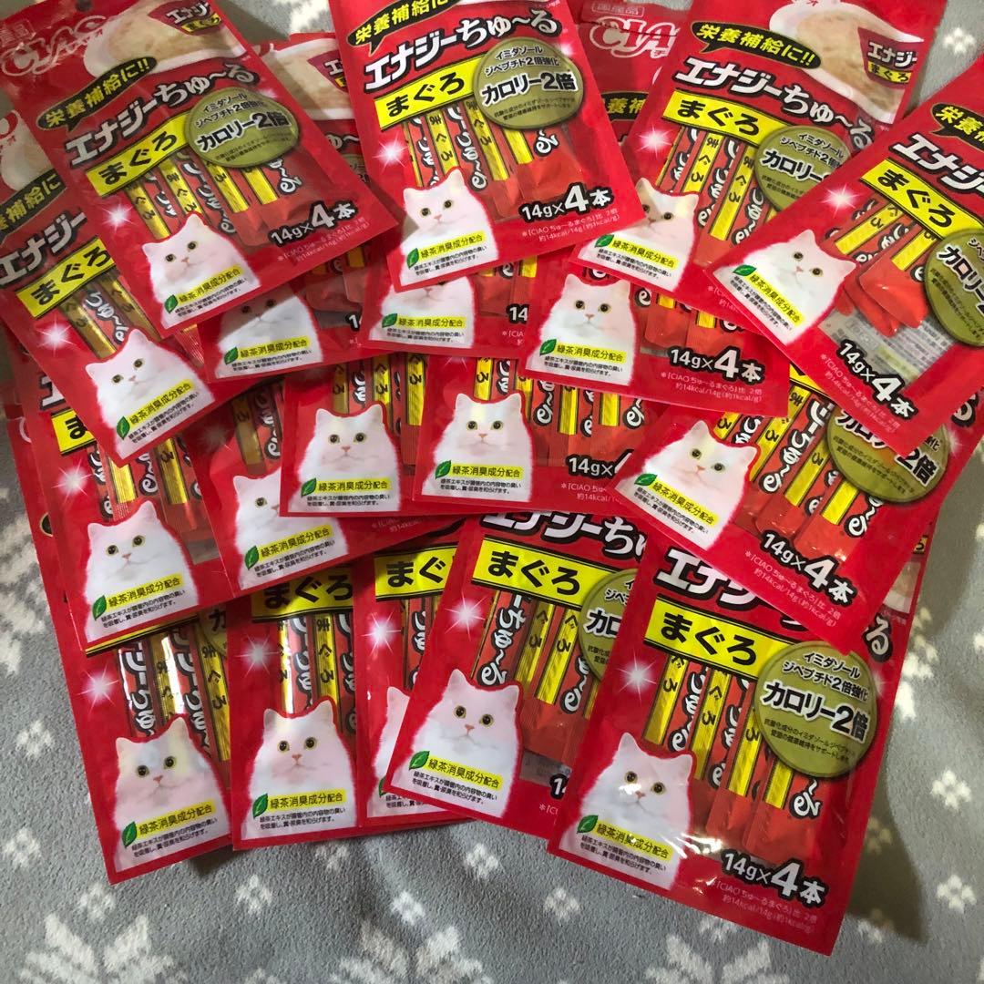 キャットフード an