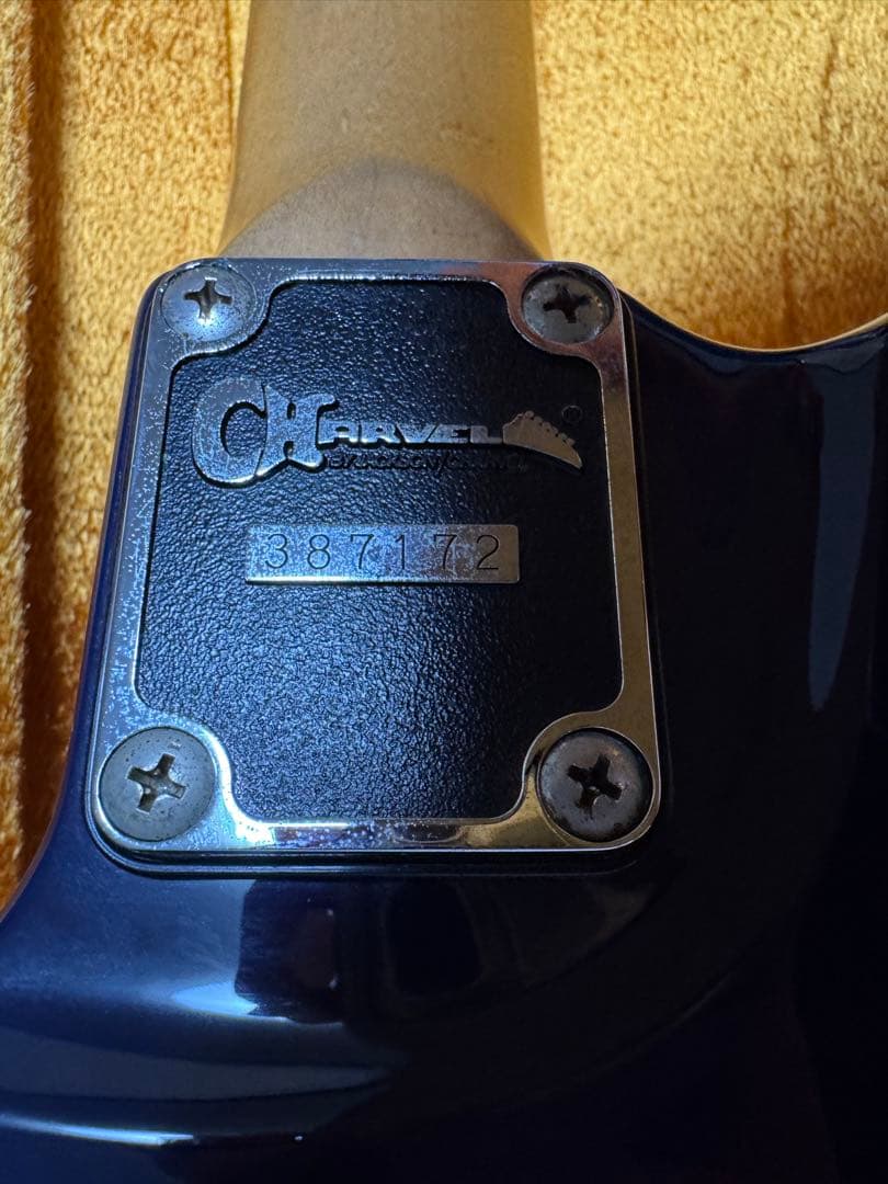 シャーベル　サーフキャスター　ビザール系