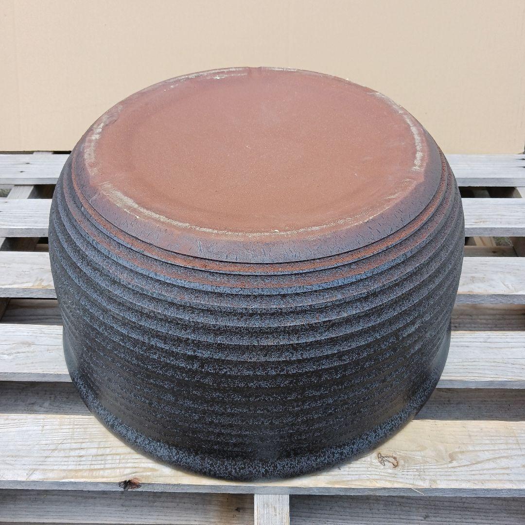 新品　∅50　陶器睡蓮鉢　特大　メダカ鉢　難有　エメラルドグリーン　緑黒　LBK