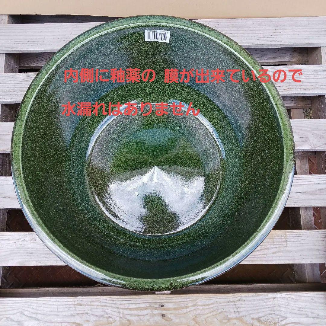 新品　∅50　陶器睡蓮鉢　特大　メダカ鉢　難有　エメラルドグリーン　緑黒　LBK