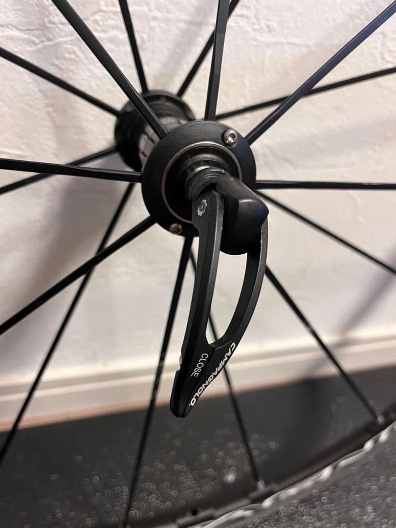 ワカちゃん　Campagnplo シャマルウルトラ