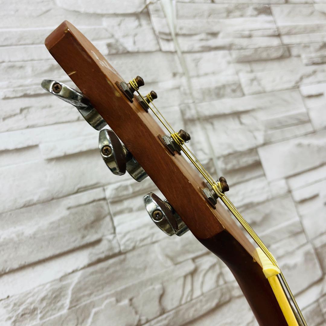 【YB❤︎KYO  】 ProMartin プロマーチン EA350RDS