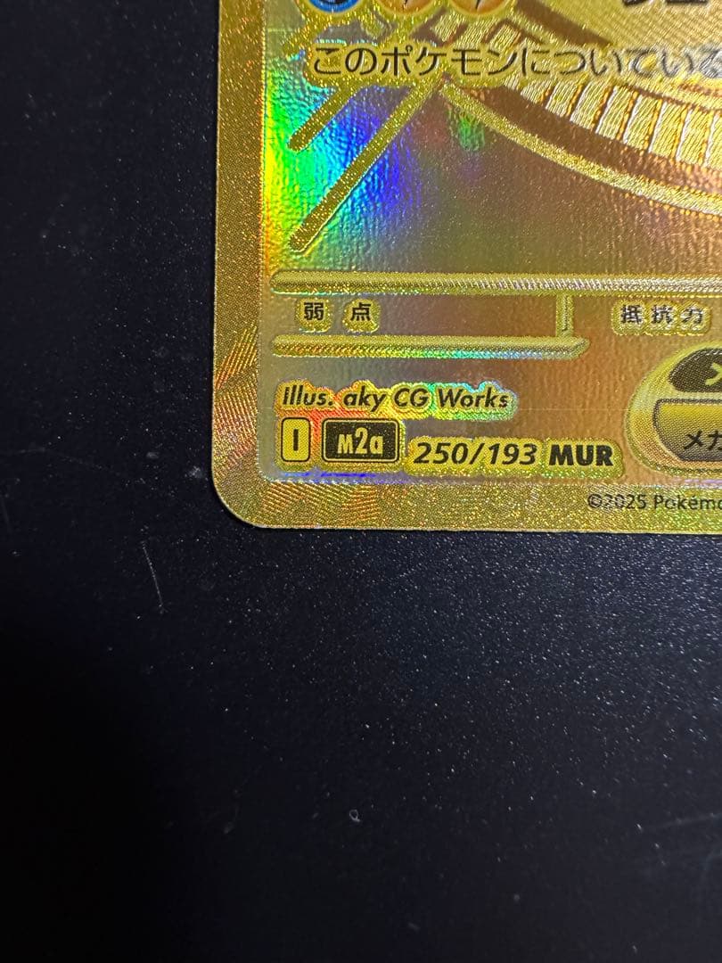 メガカイリュー ex MUR