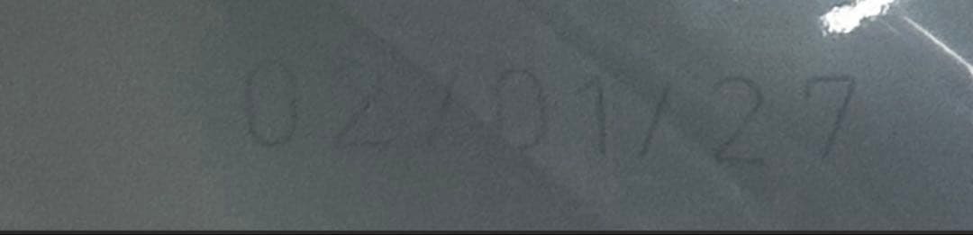  CANIN 柴犬　8kg 1袋　ロイヤルカナン