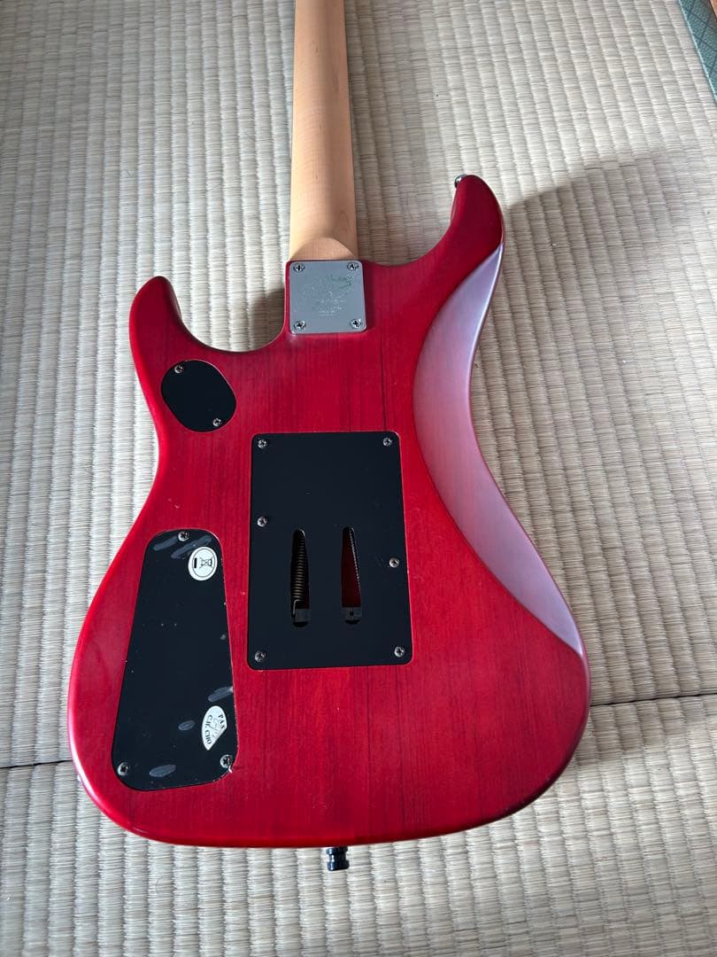 4*4様 Washburn Signature Model N2-NUNO