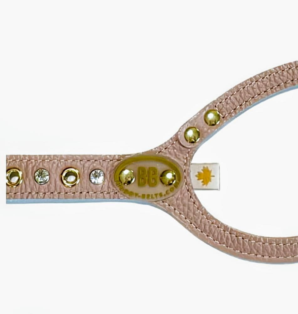 バディーベルト　ハーネス・カラー・リードの3点 バディベルト　BUDDYBELT