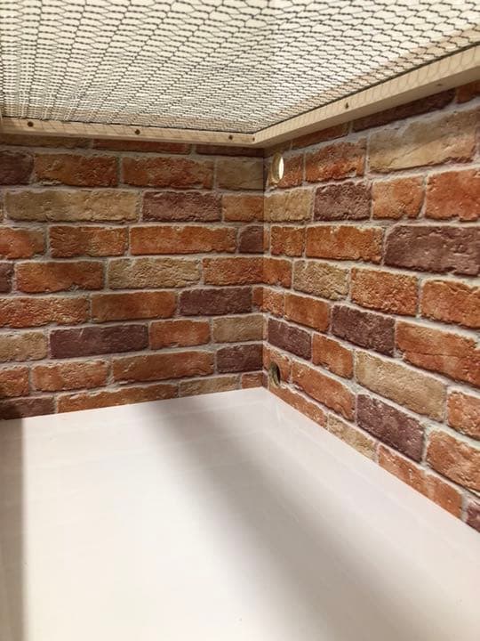 ハリネズミ用 木製ケージ 新品未使用 カスタムベースにどうぞ！