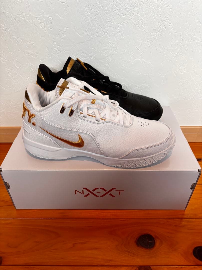 ナイキ レブロン NXXT ジェン AMPD エクイティ