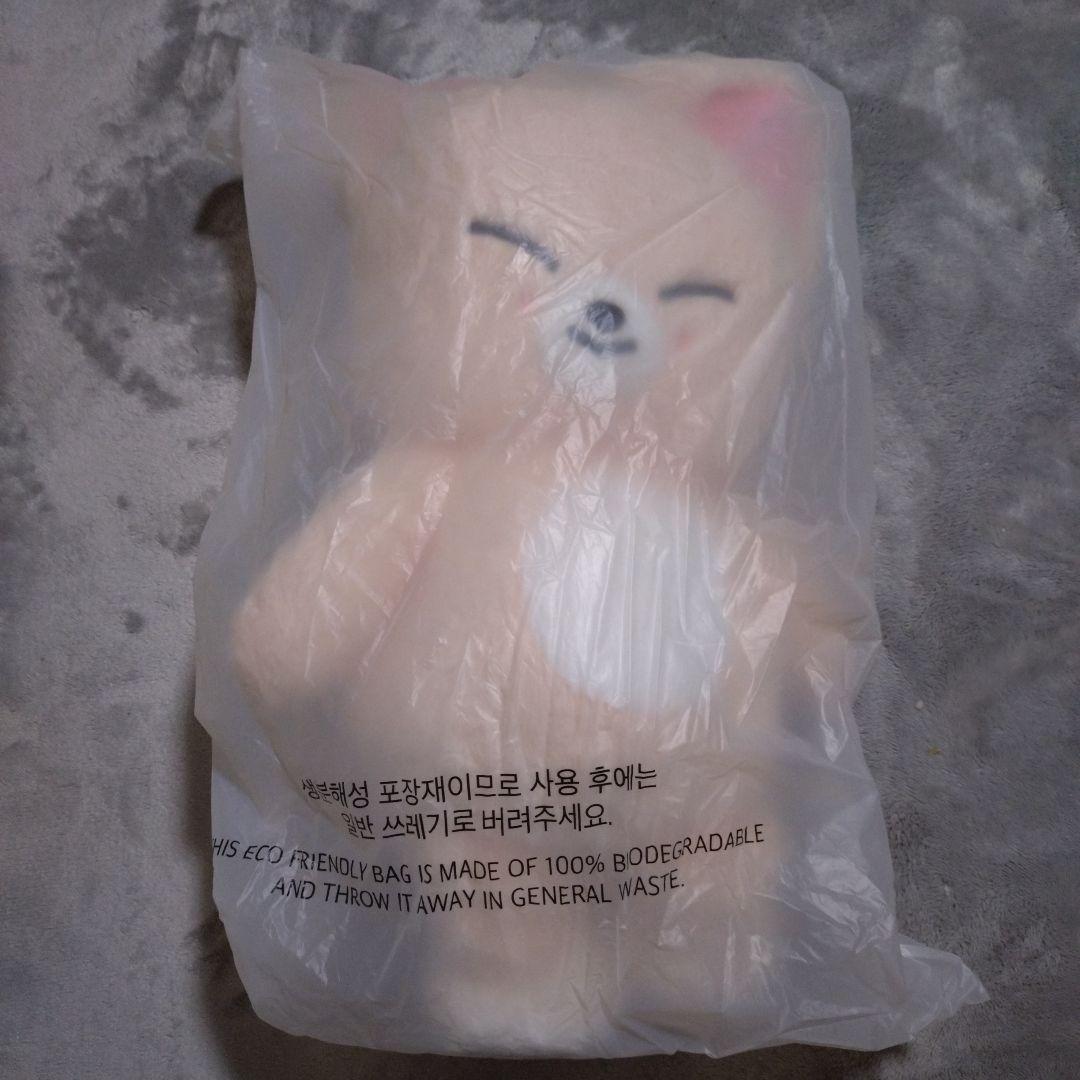 くも　StrayKids　テディベア　ボッカリ　、フォクシニー