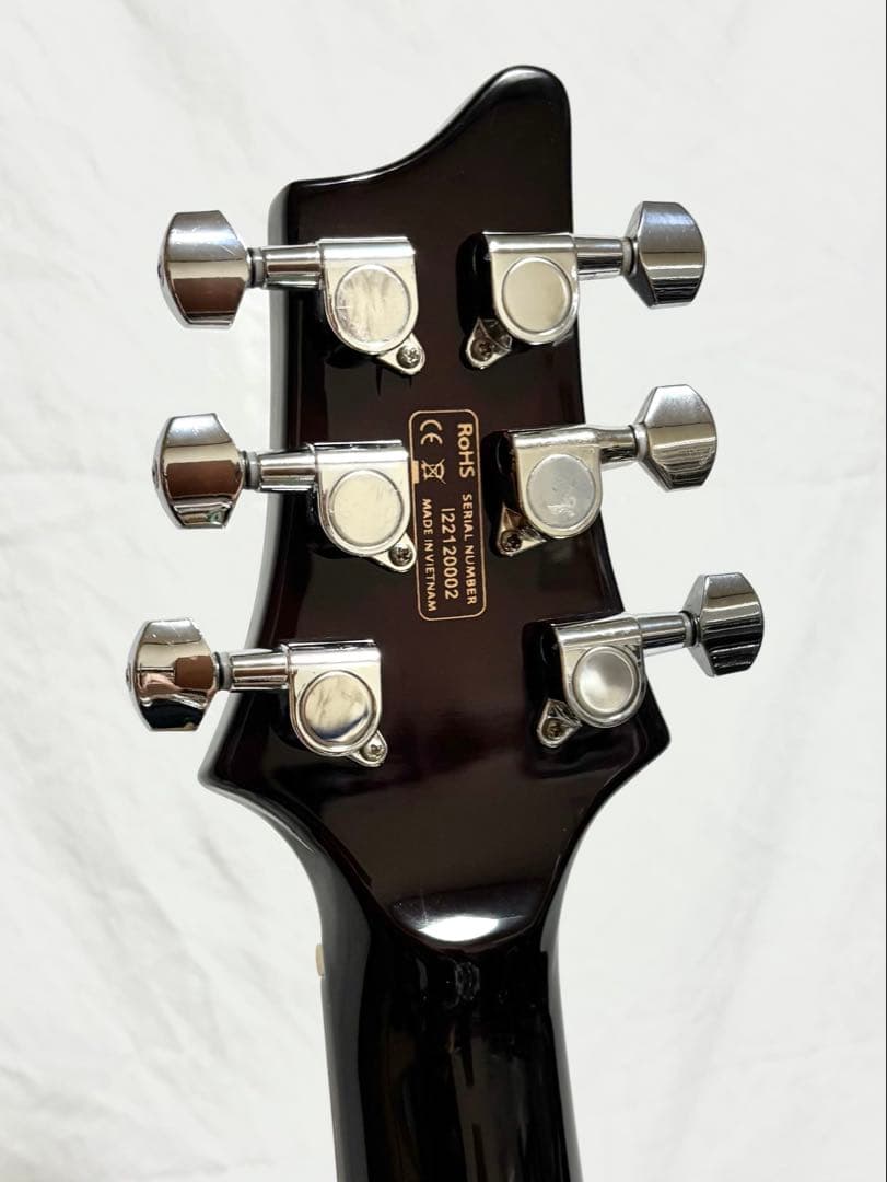 【新品弦張替済】GFC セミアコ PRSタイプ Tree of Life