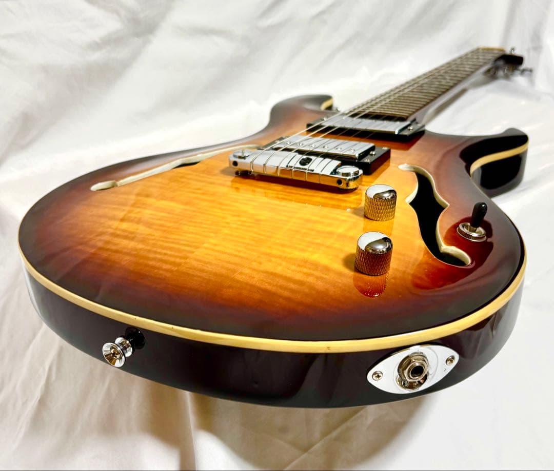 【新品弦張替済】GFC セミアコ PRSタイプ Tree of Life