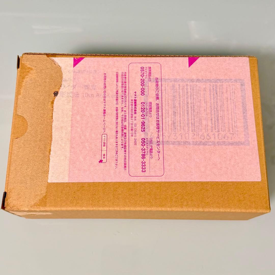 S.H.Figuarts真骨彫 仮面ライダー響鬼10th Anniversary