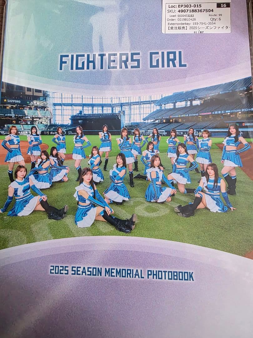 ト*ム様 FIGHTERS GIRL シーズンフォトブック　受注生産　現在入手不