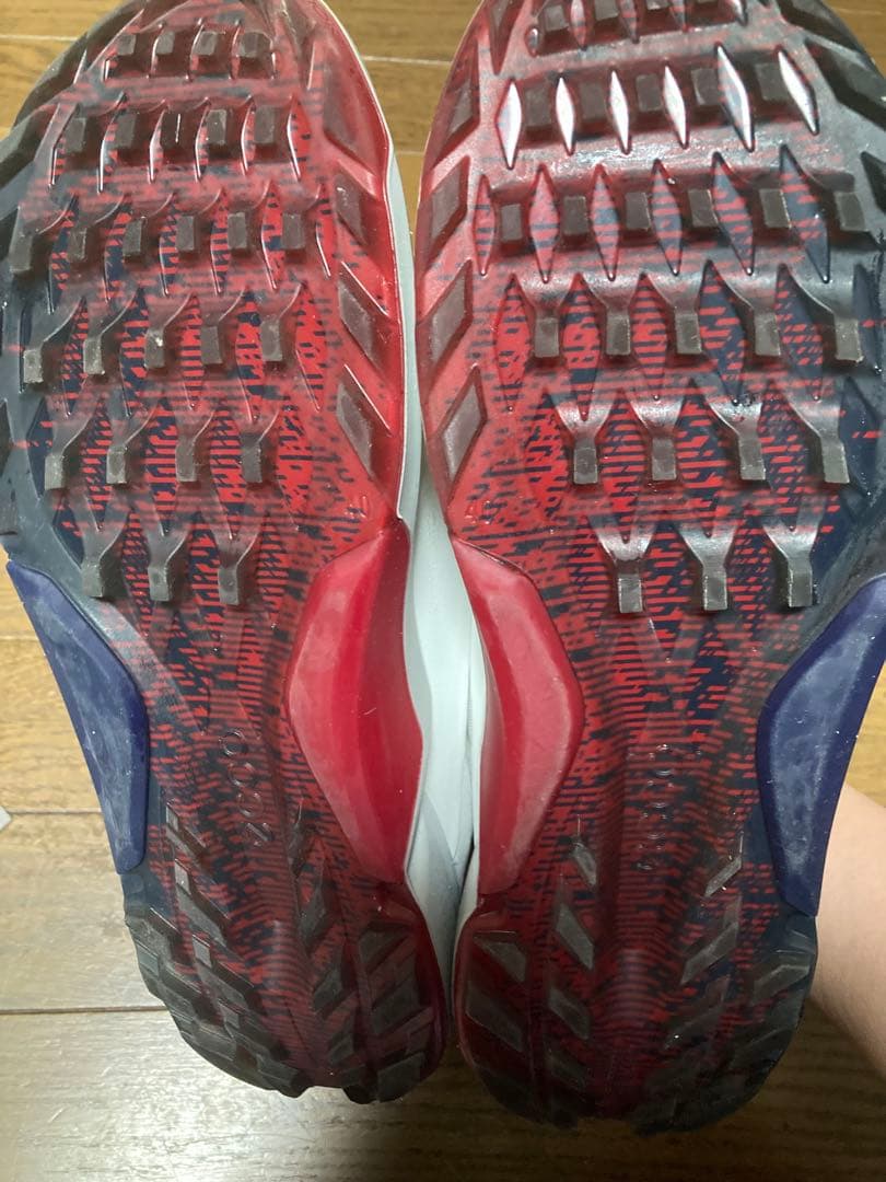 ECCO M GOLF BIOM M4 ゴルフシューズ EU 40