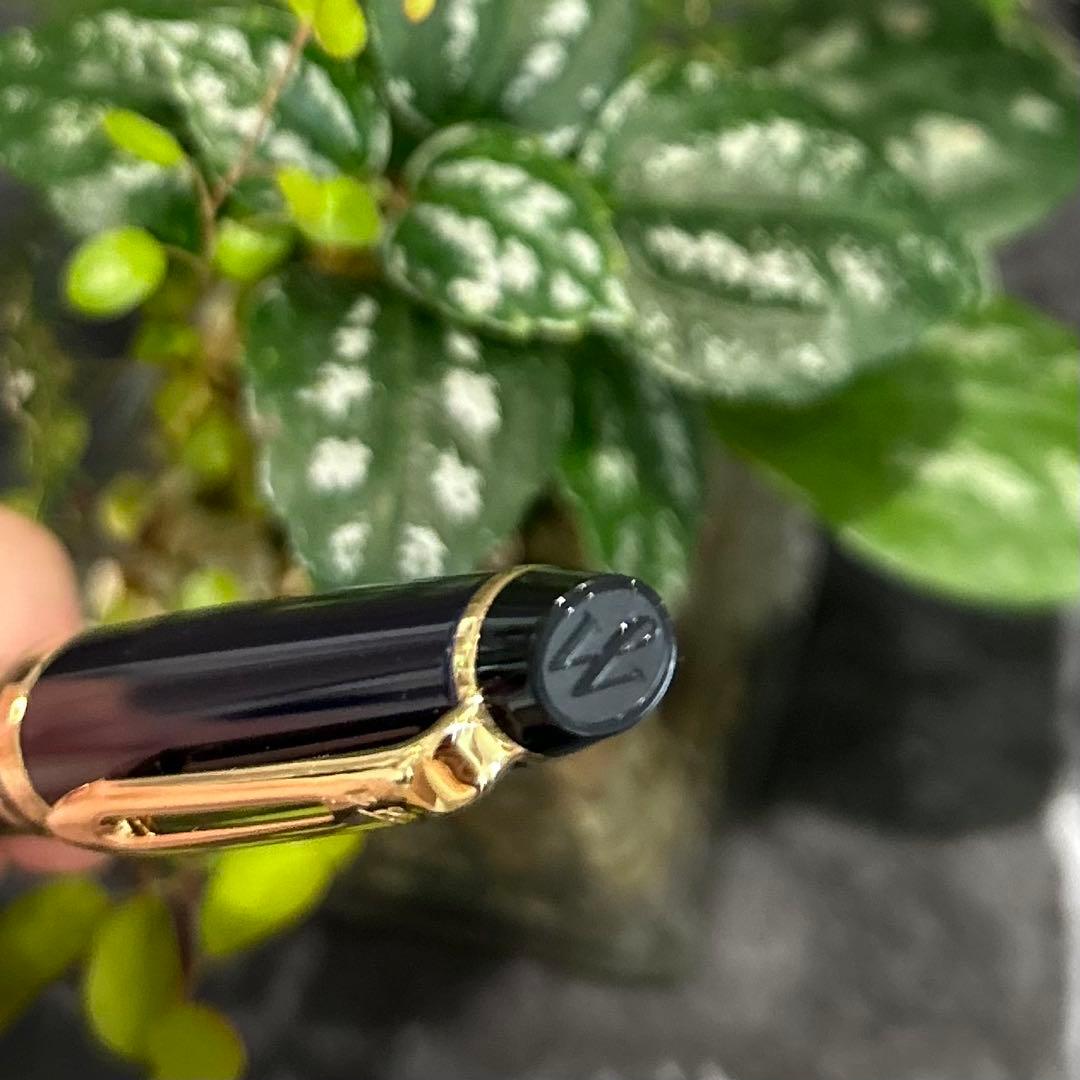 Waterman エキスパート　エッセンシャル ブルー