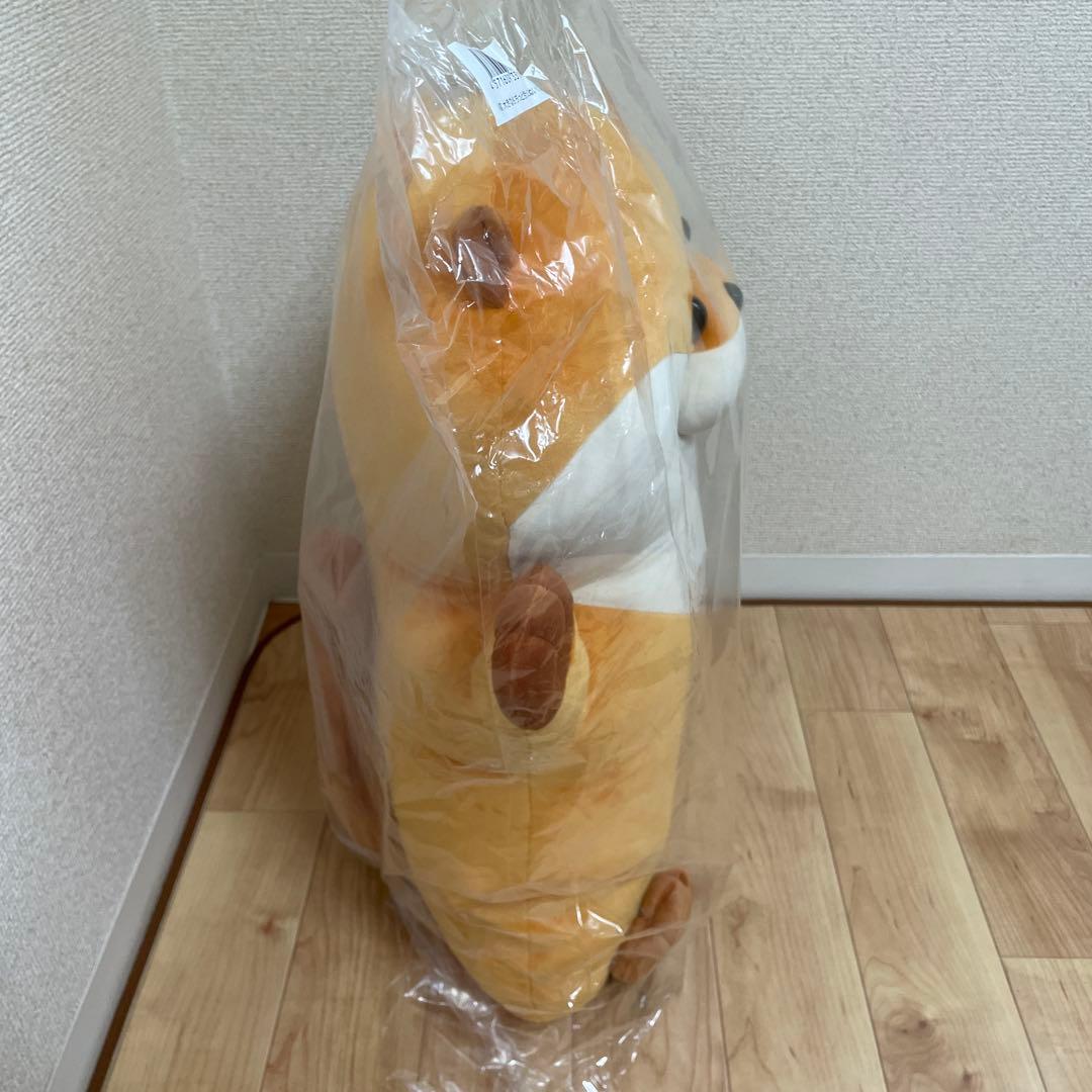 可愛い嘘のカワウソ　ぬんぬんくじ　 A賞　大きなもちっと抱っこぬいぐるみ