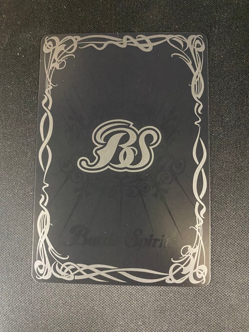 白晶防壁 リオル ティーダ 1枚