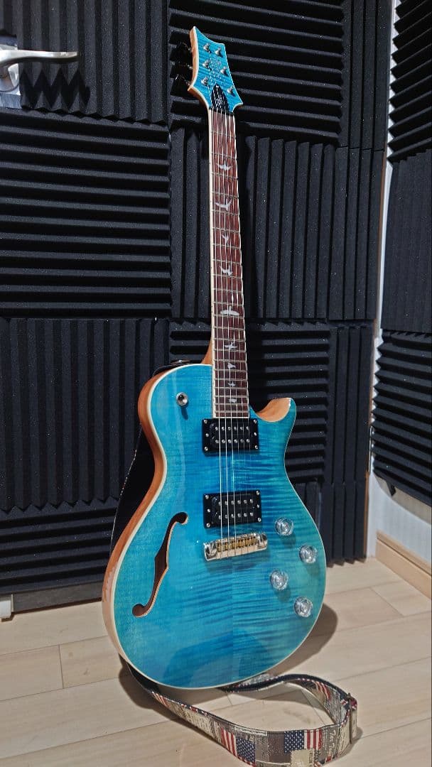 PRS ZACH MYERS シグネチャーモデル