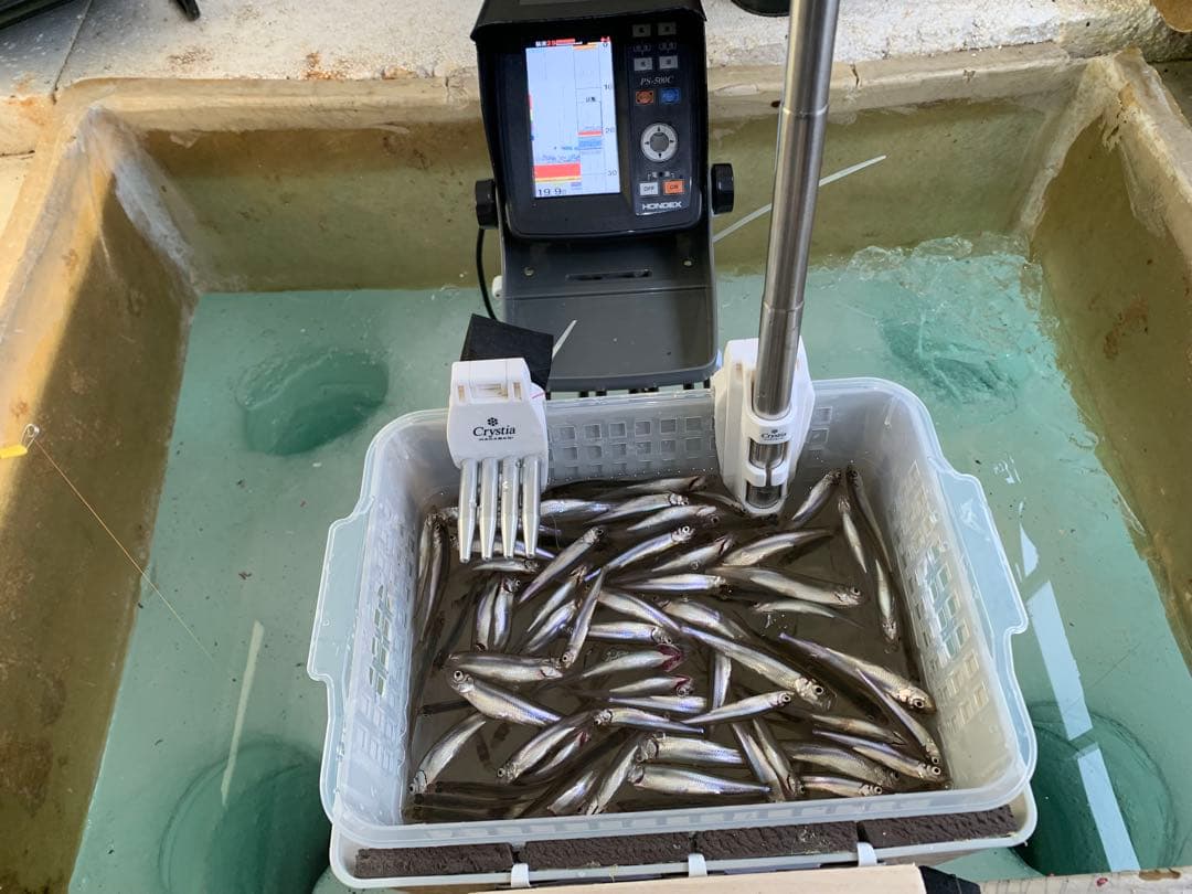 ワカサギステンレス穂先　 285ミリ　　２本