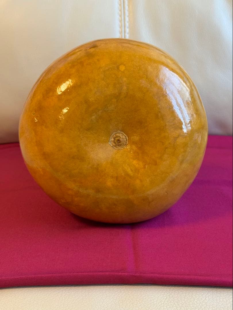 イプ フラ楽器 フラダンス