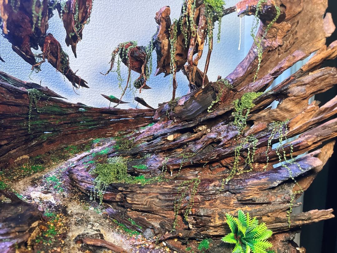 【マツヨシワールド】熟練職人手作り流木アクアスケープ 渓谷と浮遊雲群 手入れ不要