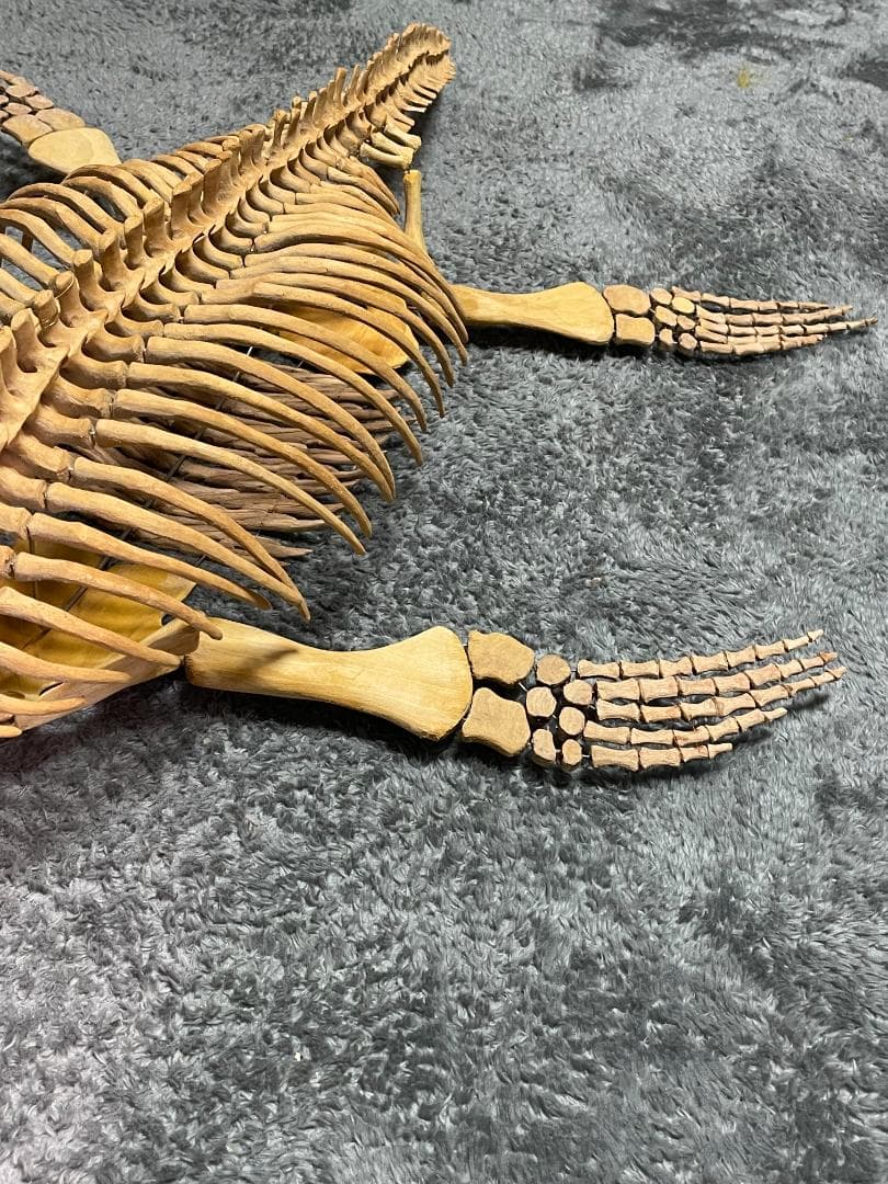 木彫　首長竜ロマレオサウルス　1/6全身骨格模型　112㎝