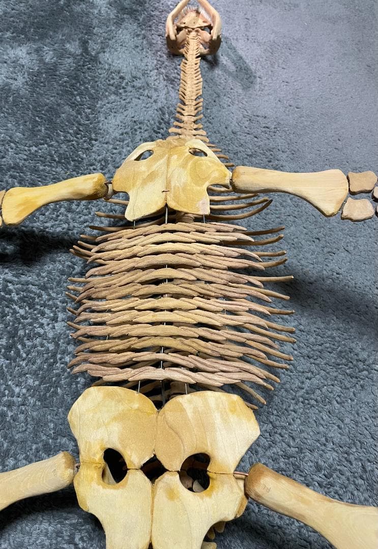 木彫　首長竜ロマレオサウルス　1/6全身骨格模型　112㎝