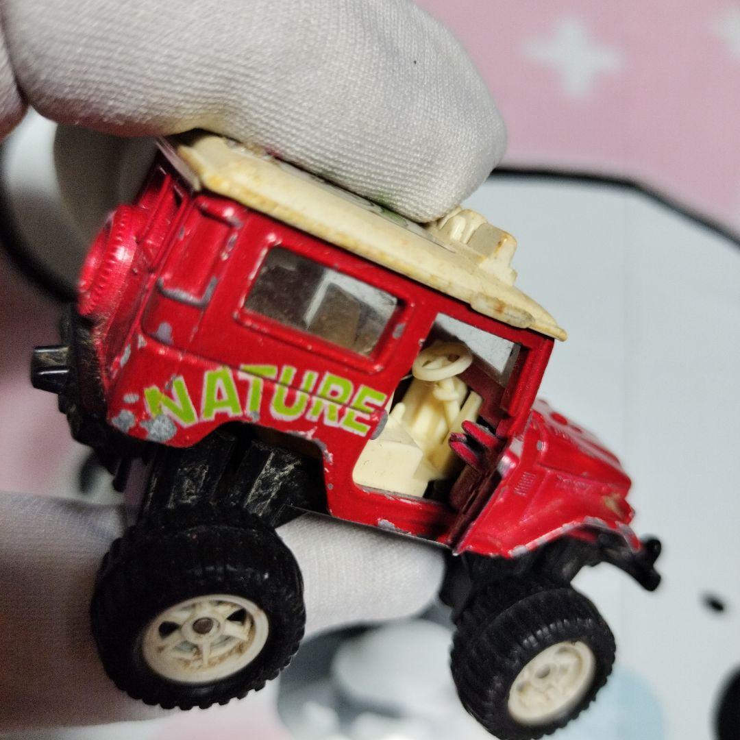 赤いミニカー 自然愛好クラブ