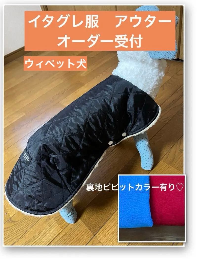 イタグレ服　アウター　オーダー受付‼︎