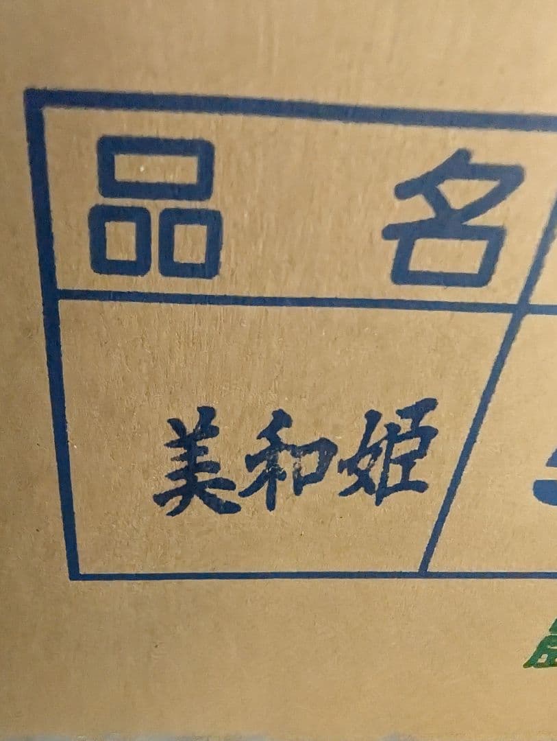 山梨県産ぶどう　美和姫　8房入り箱込み約5.5kg