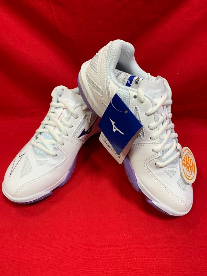 71GA258268 22.0cm バドミントン ミズノ シューズ