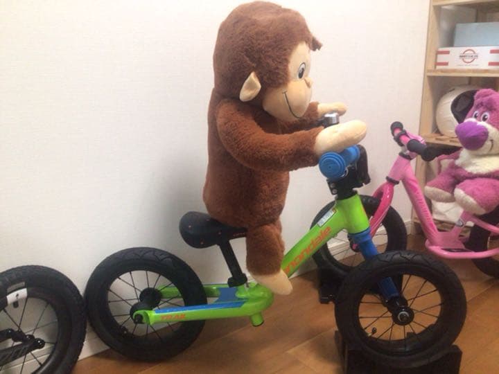 【確認用】キャノンデール ストライダー②グリーン