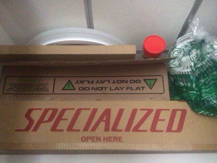 【確認用】キャノンデール ストライダー②グリーン