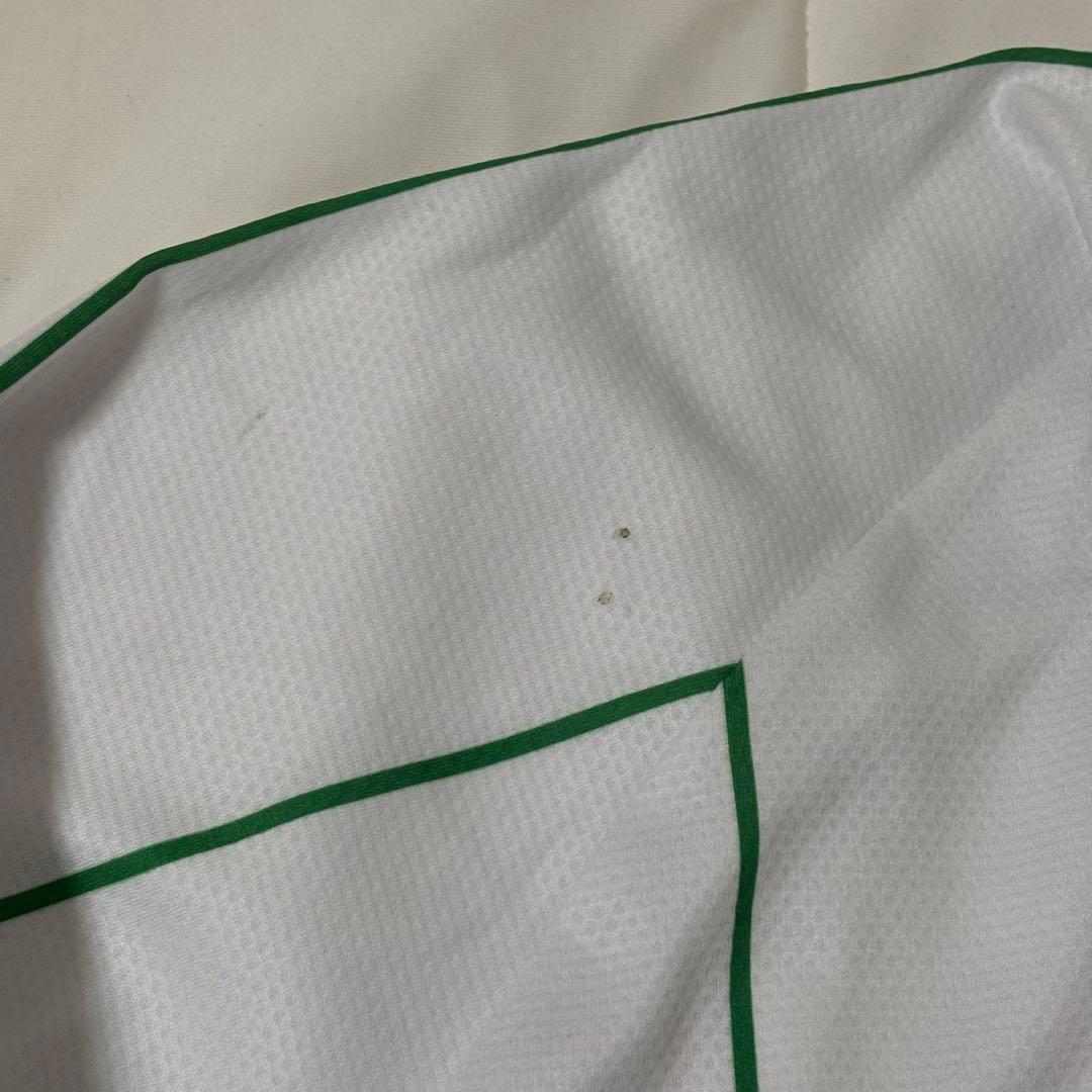 access peace ストライプ　ゲームシャツ　ロンt paledusk