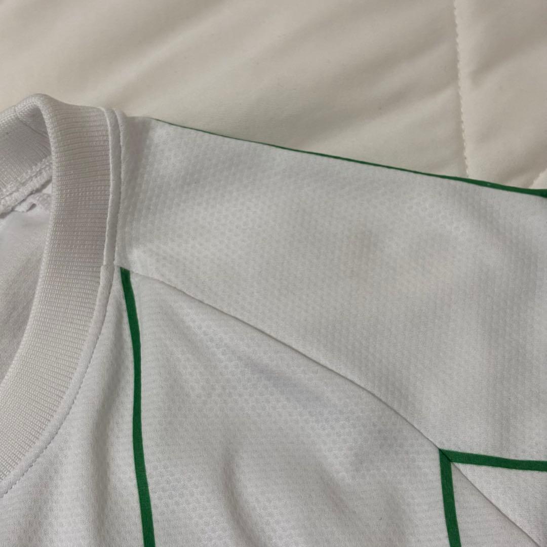 access peace ストライプ　ゲームシャツ　ロンt paledusk