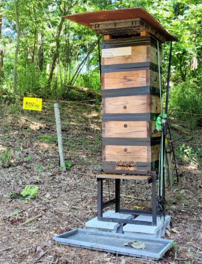 日本みつばち採りたて(生蜂蜜1800g+巣蜜373g)　コムハニー#12宮城県産