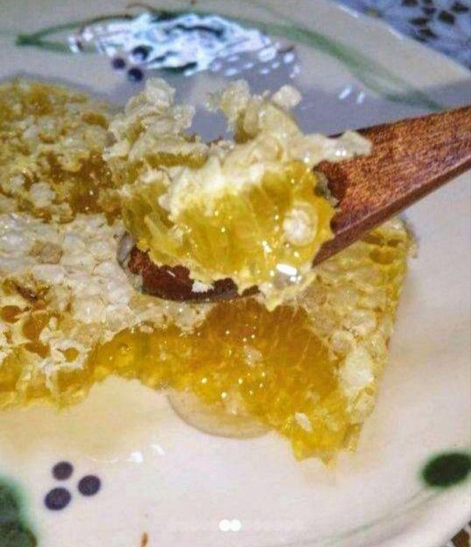 日本みつばち採りたて(生蜂蜜1800g+巣蜜373g)　コムハニー#12宮城県産