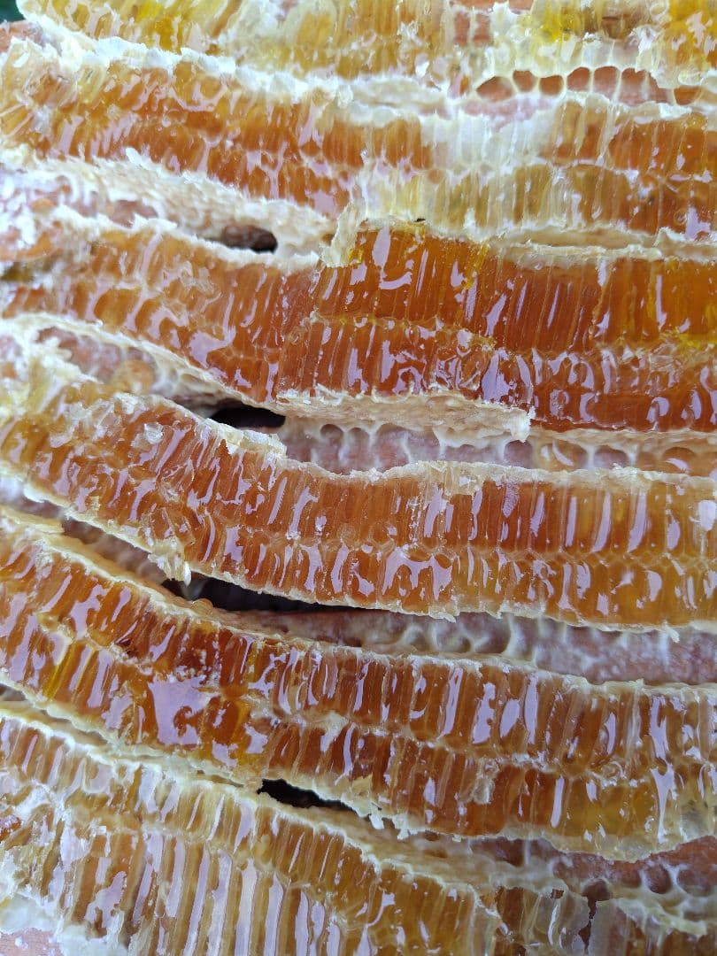 日本みつばち採りたて(生蜂蜜1800g+巣蜜373g)　コムハニー#12宮城県産