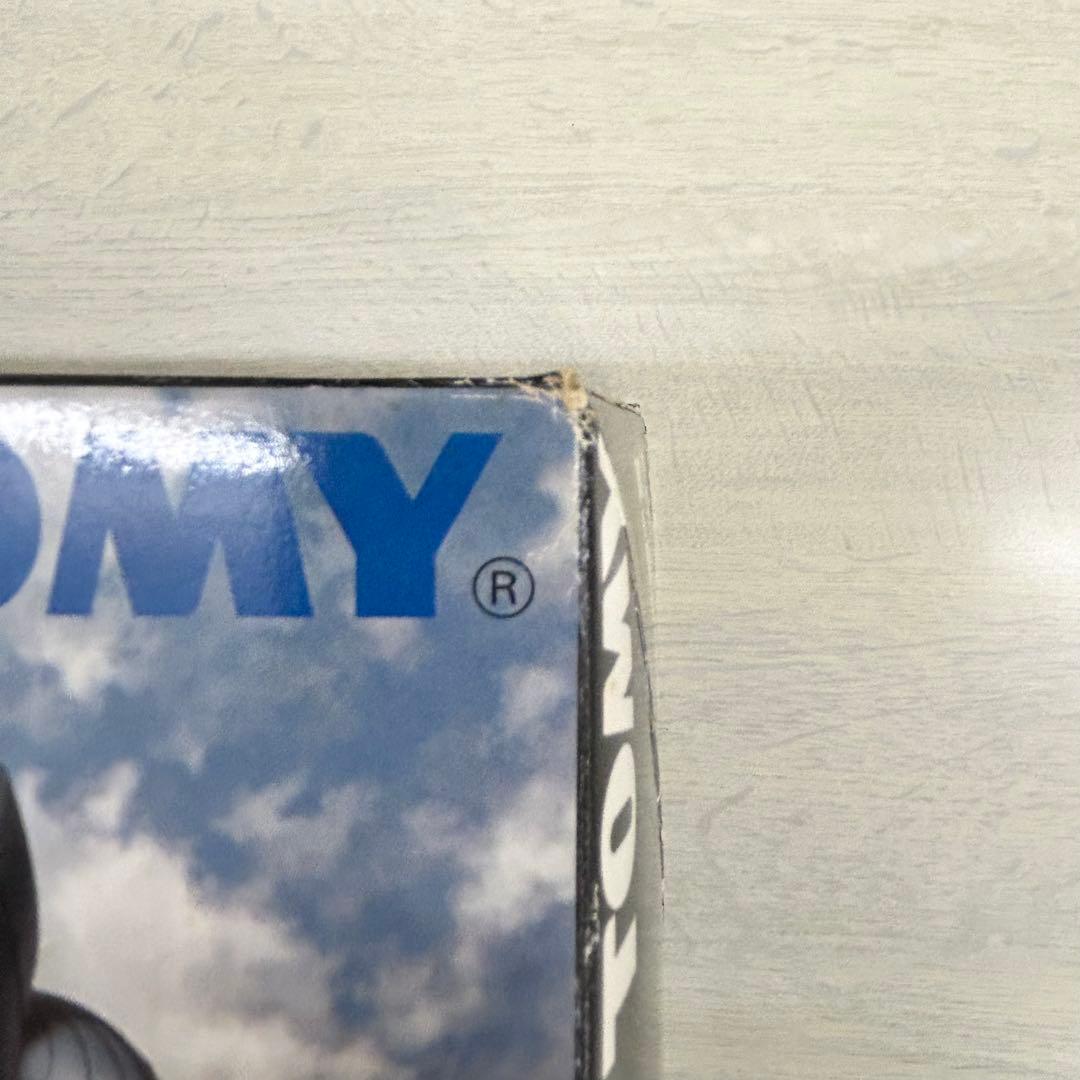 ZOIDS ゾイド　妄想戦記　アイアンコング　アイアンコングイエティ