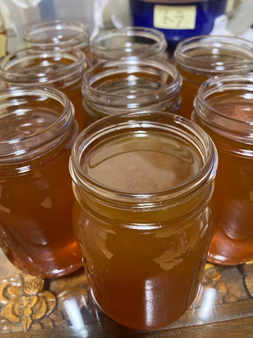 ニホンミツバチの巣蜜256g &はちみつ600g☆令和7年10月採り◆滋賀北部産