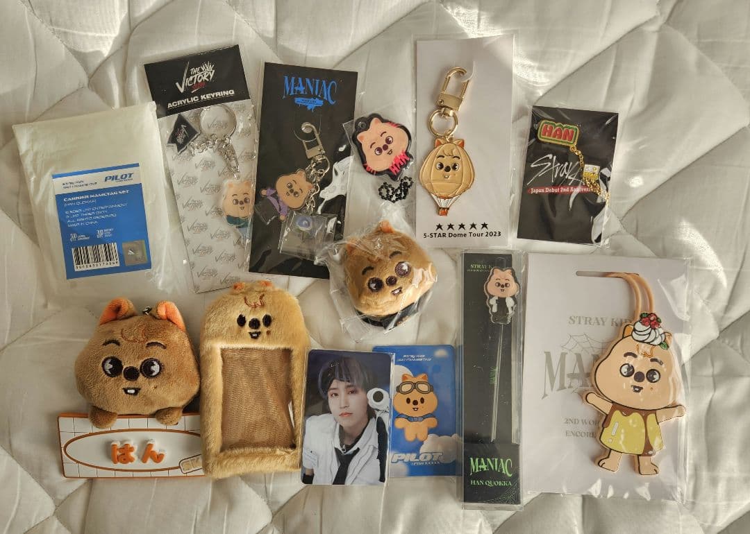 StrayKids HAN グッズセット