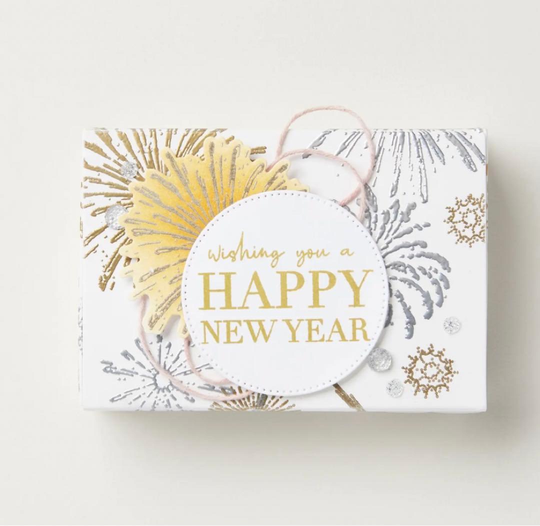 未使用　スタンピンアップ　花火のスタンプ&ダイセット