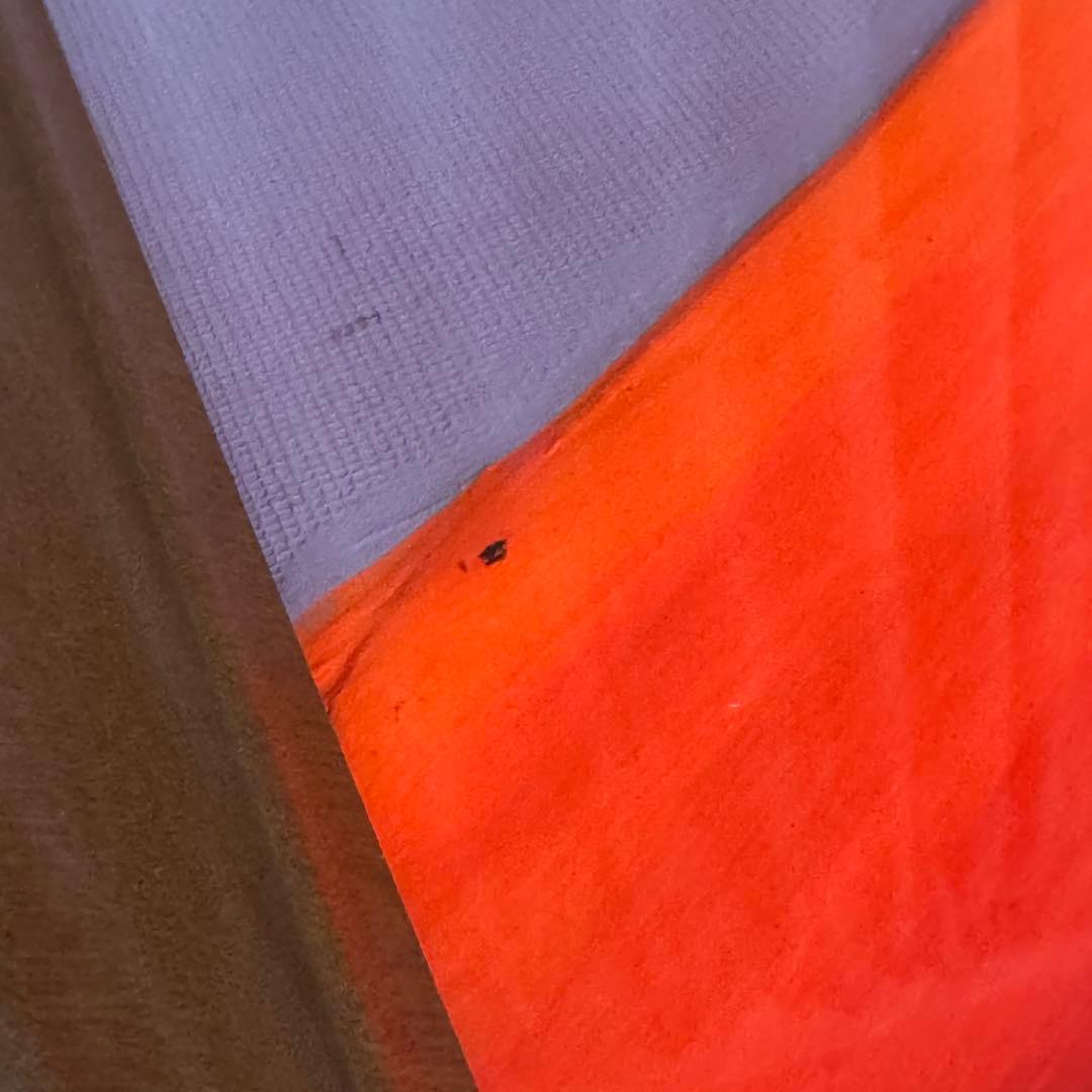 百瀬善明 立体画 盛り絵 赤富士 額装 72×48cm