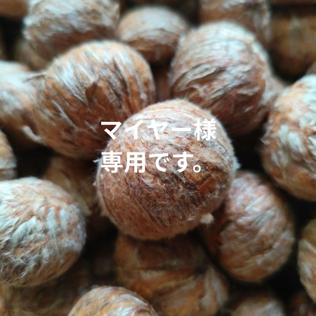 利平栗渋皮　マイヤー
